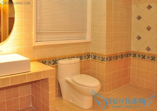 洁厕剂怎么选怎么用 52IJ