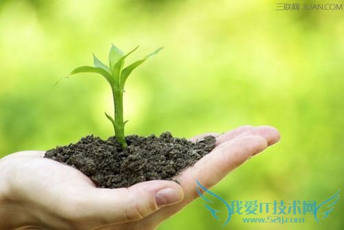 怎样配制培养土? 52IJ