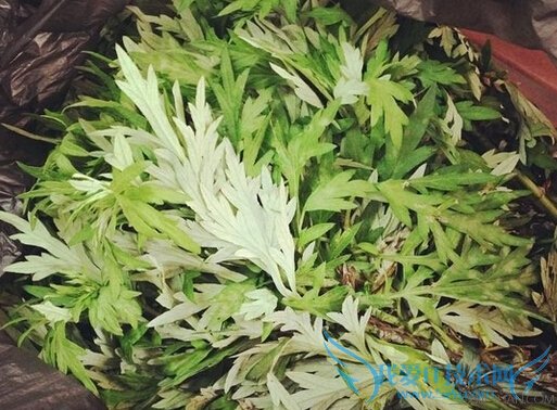 ݽŵĹЧЩ         52IJ