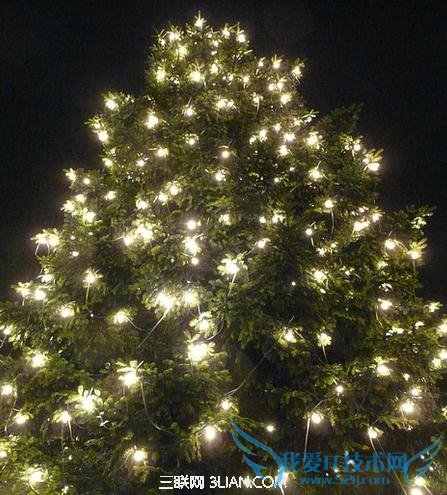 ͥʥڲ÷          52IJ