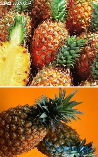 菠萝、凤梨 傻傻分不清楚! 52IJ
