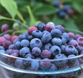 如何识别催熟水果 52IJ