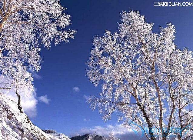 10小常识助你温暖快乐过冬 52IJ