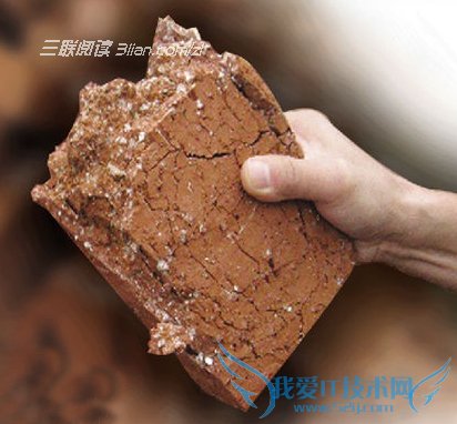 巧用豆渣做花肥的办法 52IJ阅读