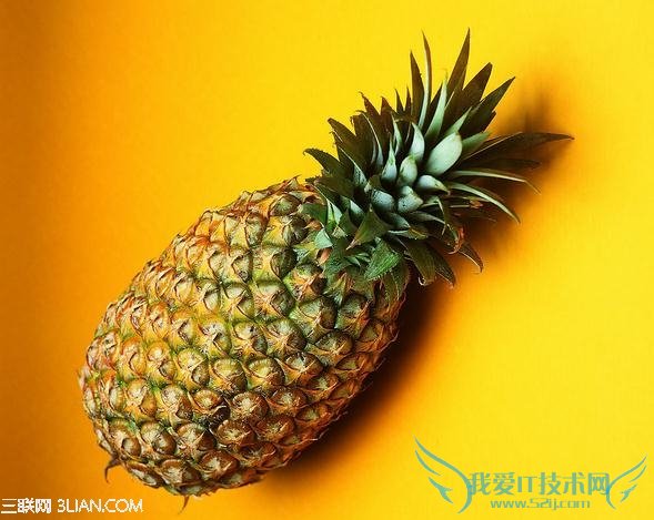 һᡱѡ           52IJ