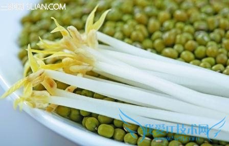 ѡöѿ                 52IJ