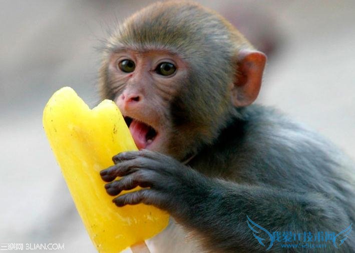 10ճСϰ ٵ       52IJ