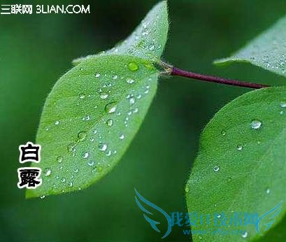 ¶                  52IJ