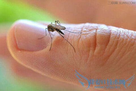 ó涣ҧô죿ó涣ҧ     52IJ