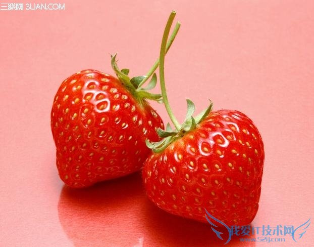 ݮӪ̲ ѡòݮ          52IJ