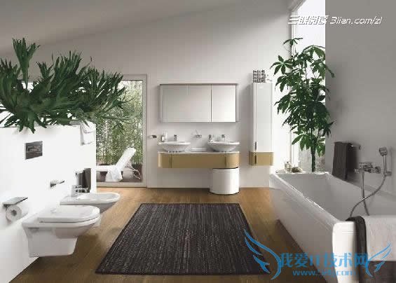 ÎÀÔ¡½à¾ßÇåÏ´±£Ñø¼¼ÇÉ 52IJÔĶÁ