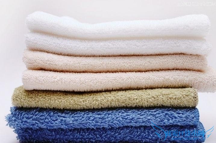 6个月不换毛巾细菌增万倍 52IJ