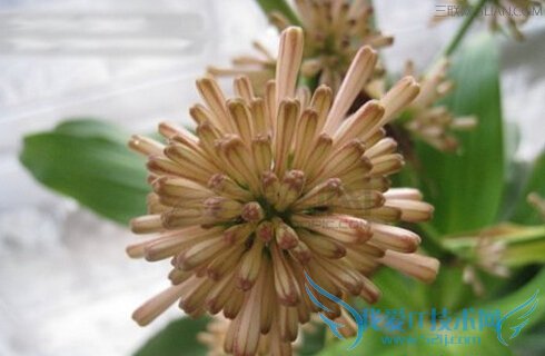 ľʲô           52IJ