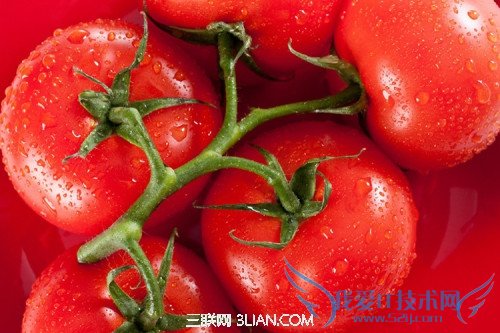 西红柿蒂朝下存放更久 52IJ