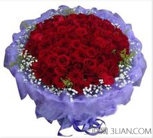 不同颜色玫瑰花的花语是什么