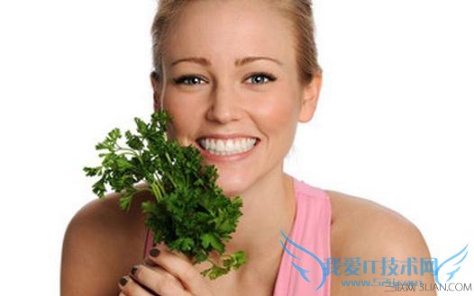 怎么摆脱跳蚤困扰 52IJ