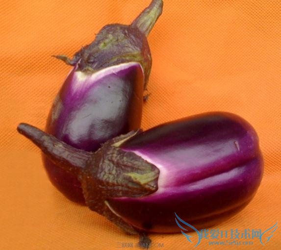 ½ÌÄãÒ»ÑÛÌô³ö×îÐÂÏʵÄ14ÖÖ²Ë 52IJ