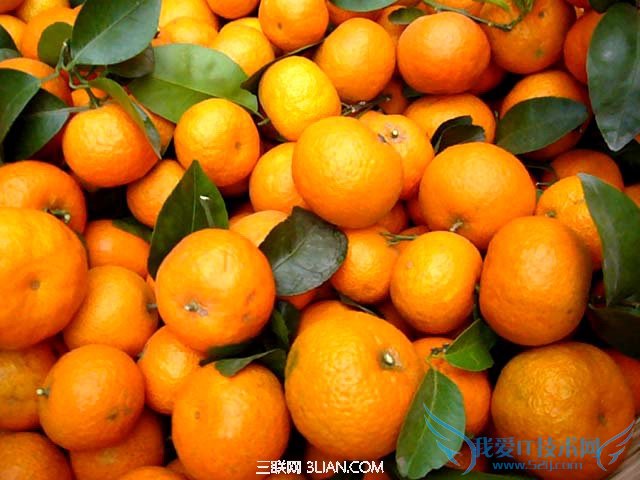 如何挑选甜的砂糖橘 52IJ