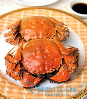 如何选购美味的大闸蟹? 52IJ