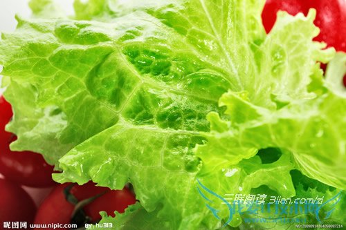 蔬菜保鲜方法 52IJ阅读配图