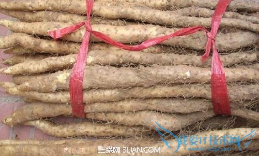 铁棍山药怎么去皮 52IJ
