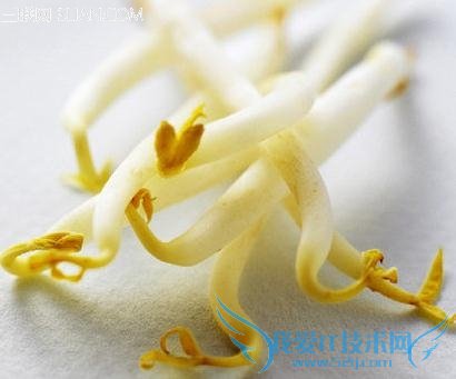 豆芽如何购买是不是越长越好 52IJ