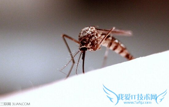 ļԤó涣ҧ     52IJ