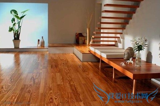 װ޵ʱЩע       52IJ