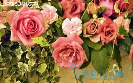 2014妇女节送什么花好 52IJ