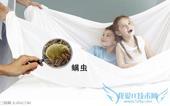 怎样除螨最有效,螨虫可引发多种疾病 52IJ