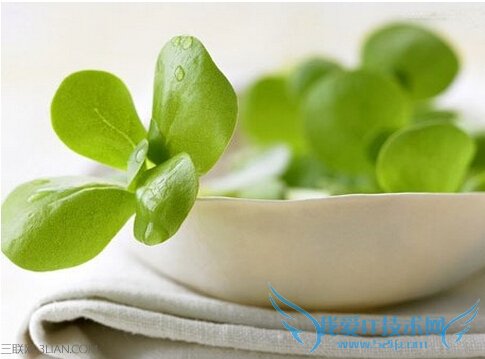 ó涣ҧƤʲôƫ   52IJ