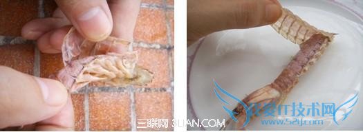 ÿӿٰϺ          52IJ