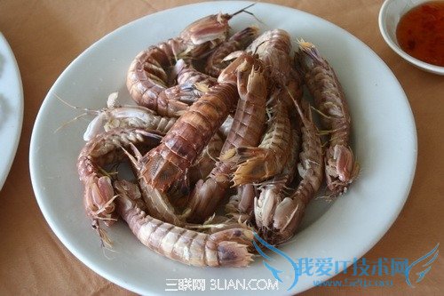 ÿӿٰϺ          52IJ