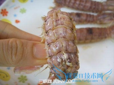 ÿӿٰϺ          52IJ