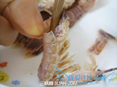 ÿӿٰϺ          52IJ