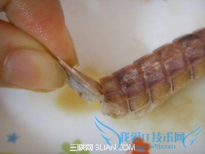 ÿӿٰϺ          52IJ