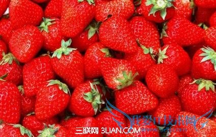 教你如何挑选好吃的草莓 52IJ