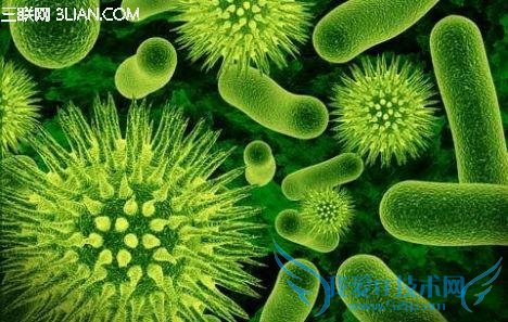 5个简单方法减少细菌危害 52IJ
