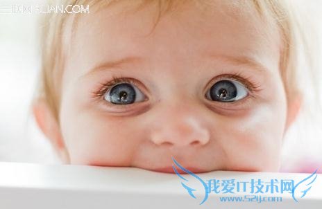 ۽ȷ                      52IJ