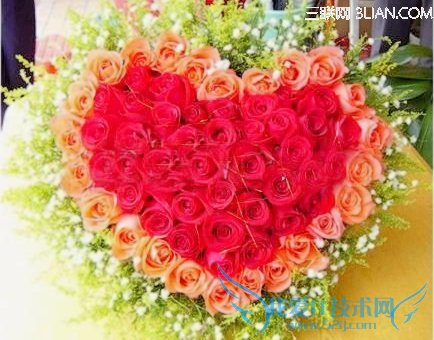 适合七夕情人节鲜花及花语2014 52IJ