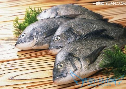 如何鉴别死鱼是否新鲜? 52IJ