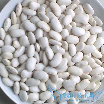 如何挑选芸豆 52IJ