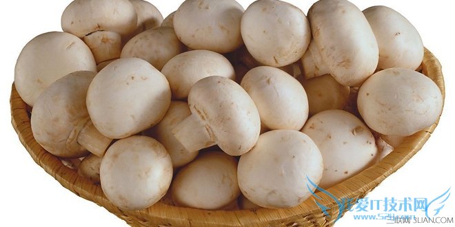 怎样挑选蘑菇 52IJ
