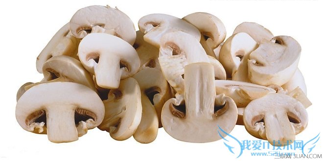 怎样挑选蘑菇 帮你挑出最好吃的蘑菇