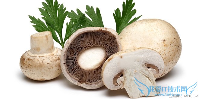 怎样挑选蘑菇 帮你挑出最好吃的蘑菇