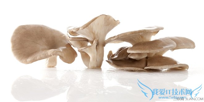 怎样挑选蘑菇 帮你挑出最好吃的蘑菇