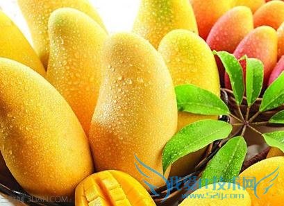 如何挑选水果? 52IJ