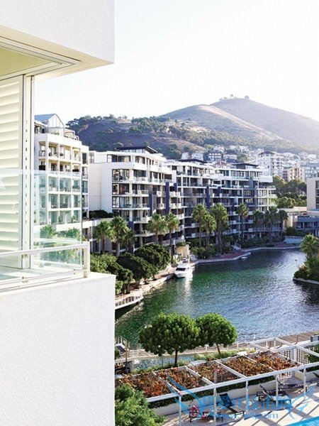 优雅浓烈金色开普敦