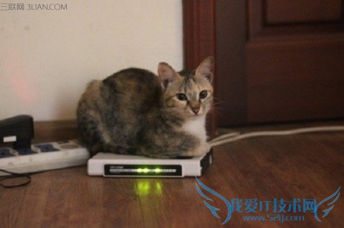 怎么让wifi速度更快 52IJ