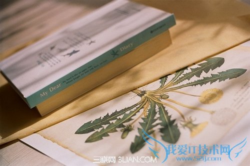 解决下午犯困的方法 52IJ